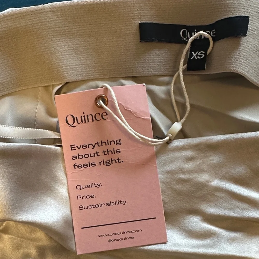 Quince Washable Silk Champagne Midi Skirt - XS - With Tags - Picture 4 of 6